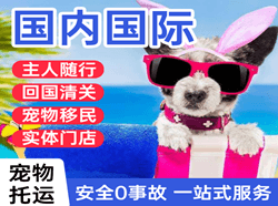 沧源佤山机场快递国际宠物托运 【国